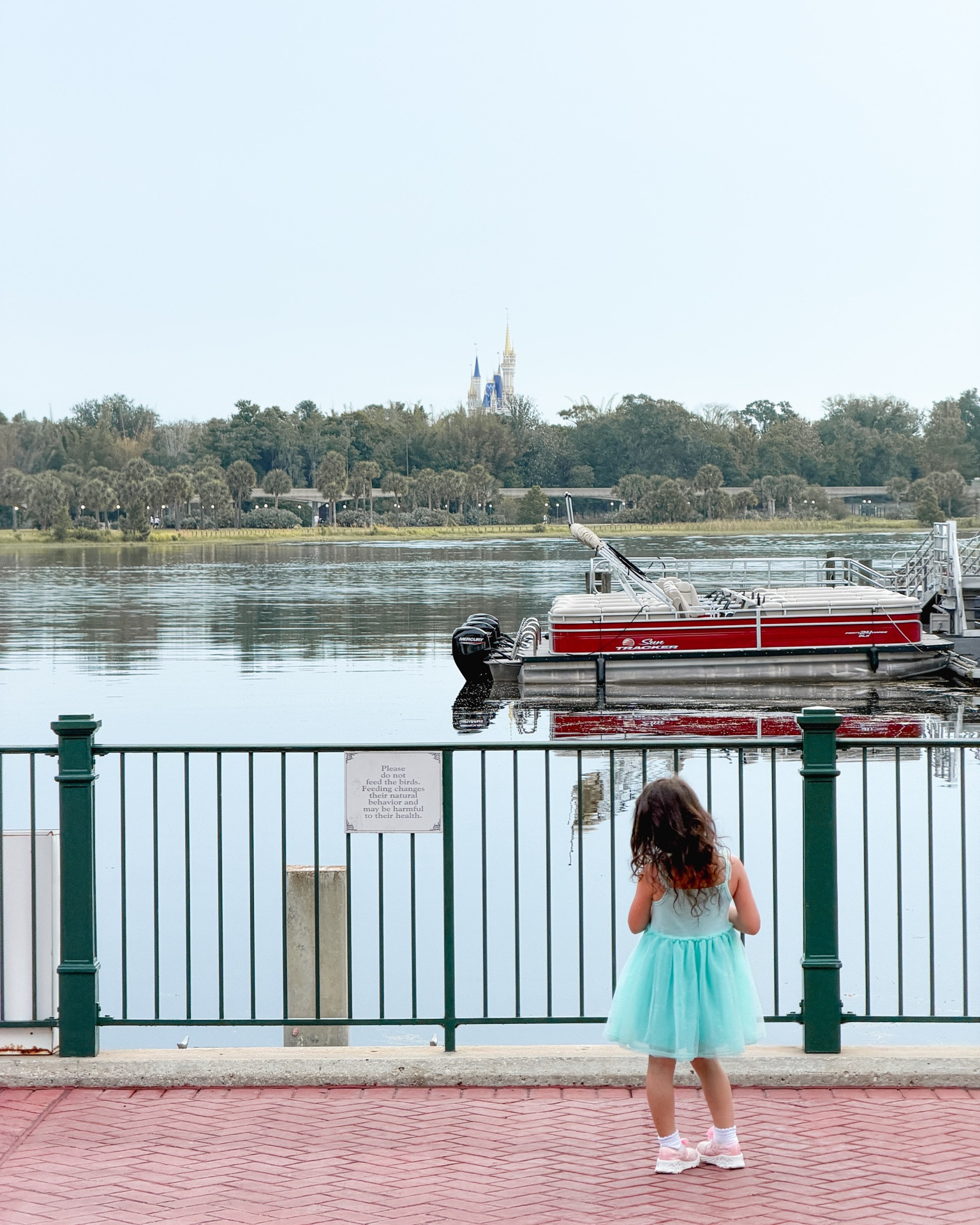 🌟Friday Faves🌟

• this view every morning 😍 …take me back 

• thanks to @rachelfuda, we survived Disney without any illness - HIGHLY recommend switching from sanitizer to HOCL

• love to read this devotional instead of scrolling when nursing the baby for naps or bedtime 

• my new holy grail sunscreen - hydrating, protecting and quickly absorbing 

• good coffee on vacation (that matches your baby ❤️❤️❤️)! Sorry, but I am not a fan of joffrey's …that’s why we shipped our Nespresso to our family condo 🤣