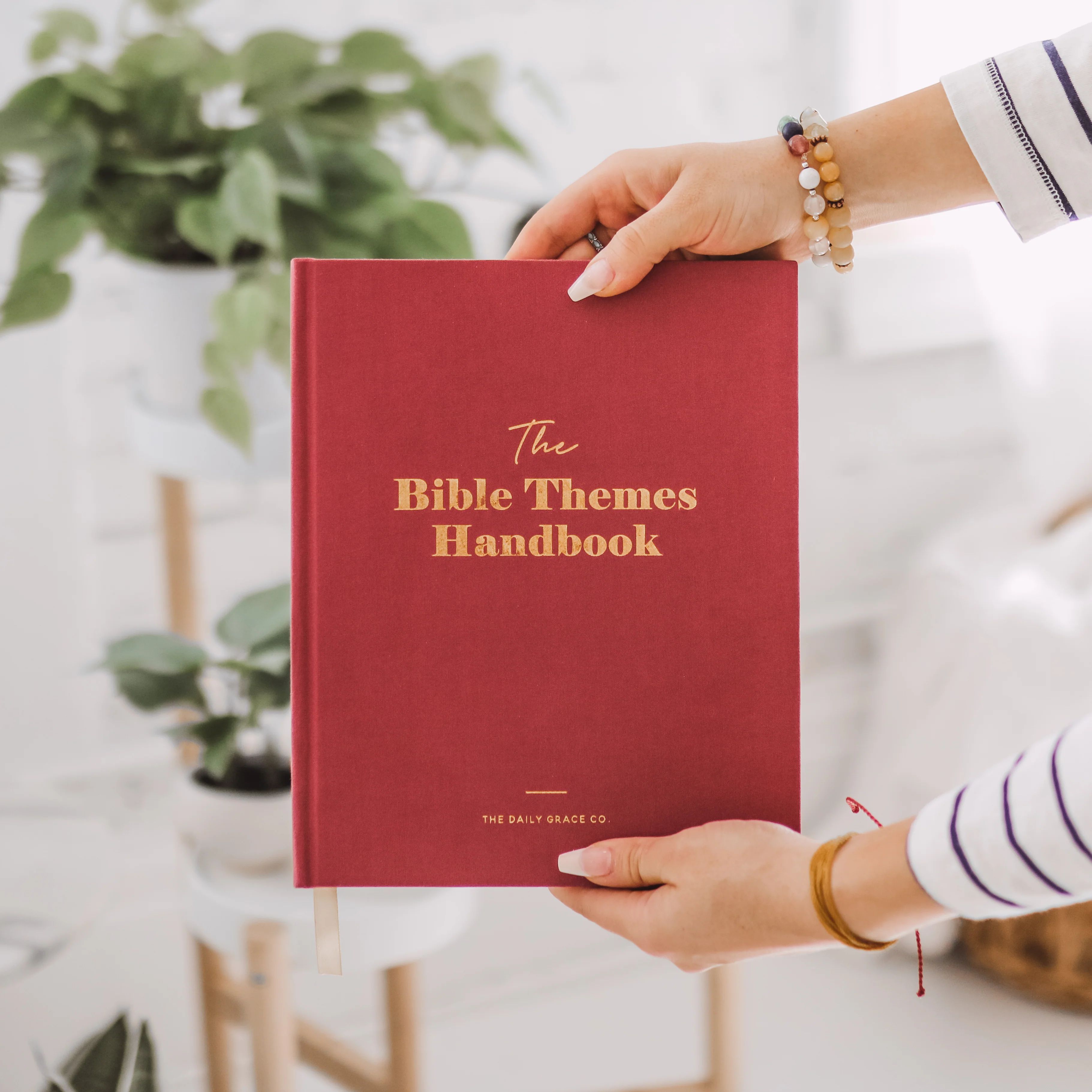 The Bible Themes Handbook | The Daily Grace Co.