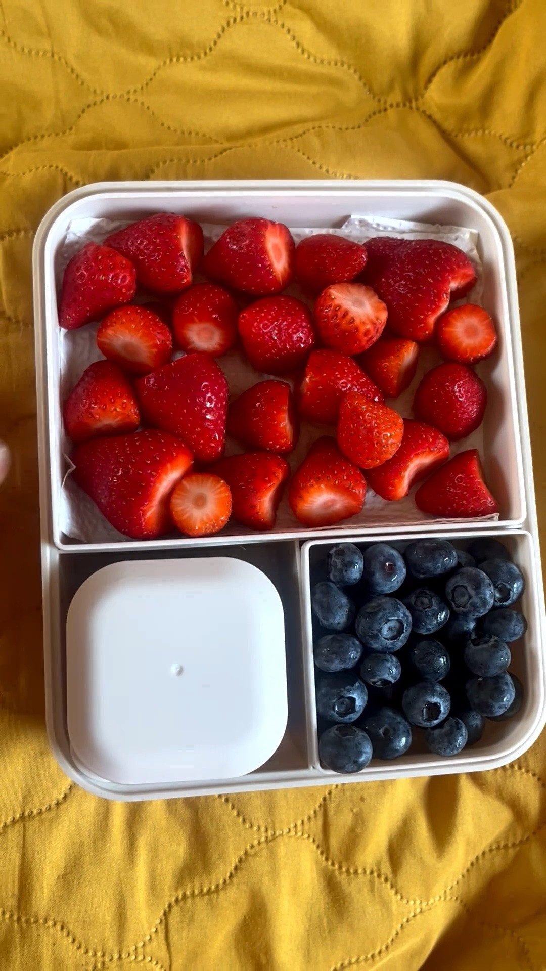 A simple beach lunch packed with fresh fruit, nuts, and a cooling pack to keep everything fresh. I've linked a similar lunch box and accessories here.

#LTKcanada #LTKsummer #LTKhome