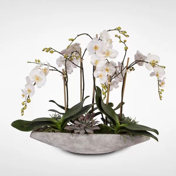 Real Touch White Phalaenopsis  Orchids in a Stone Boat Pot | Wayfair North America