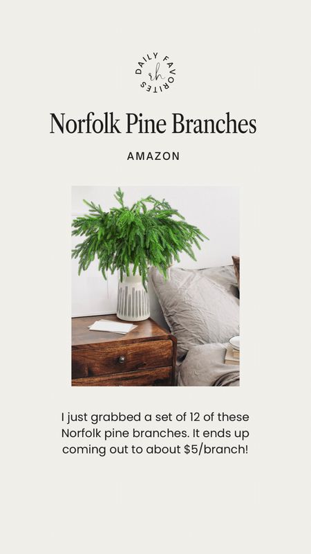 18” Norfolk Pine Branches Set found on Amazon 

#LTKHoliday #LTKhome #LTKfindsunder100