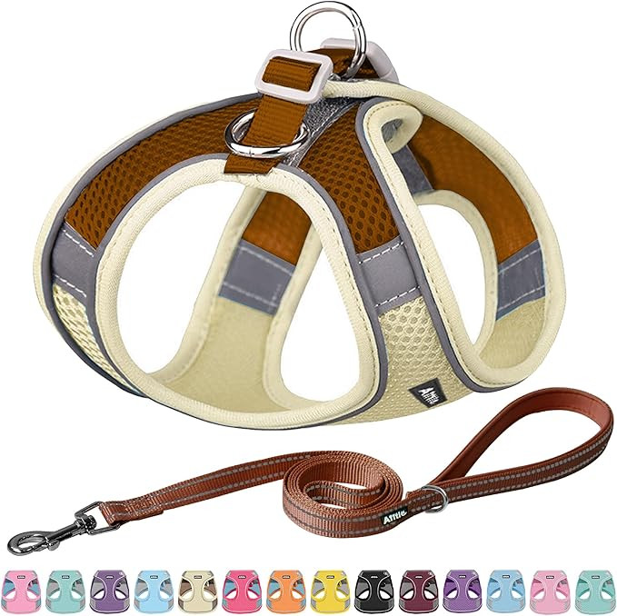 AIITLE Dog Harness, No-Pull Cat Harness with a Leash, Adjustable Reflective Dog Vest, Cat Harness... | Amazon (US)