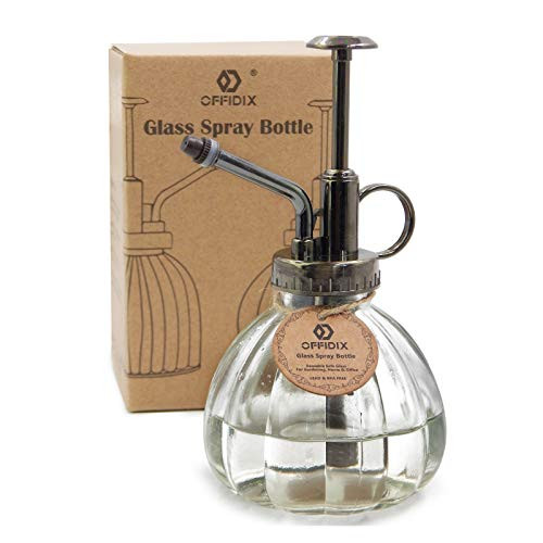 OFFIDIX Transparent Glass Watering Spray Bottle, 6.3 Inches Tall Vintage Style with Bronze Plastic T | Amazon (US)