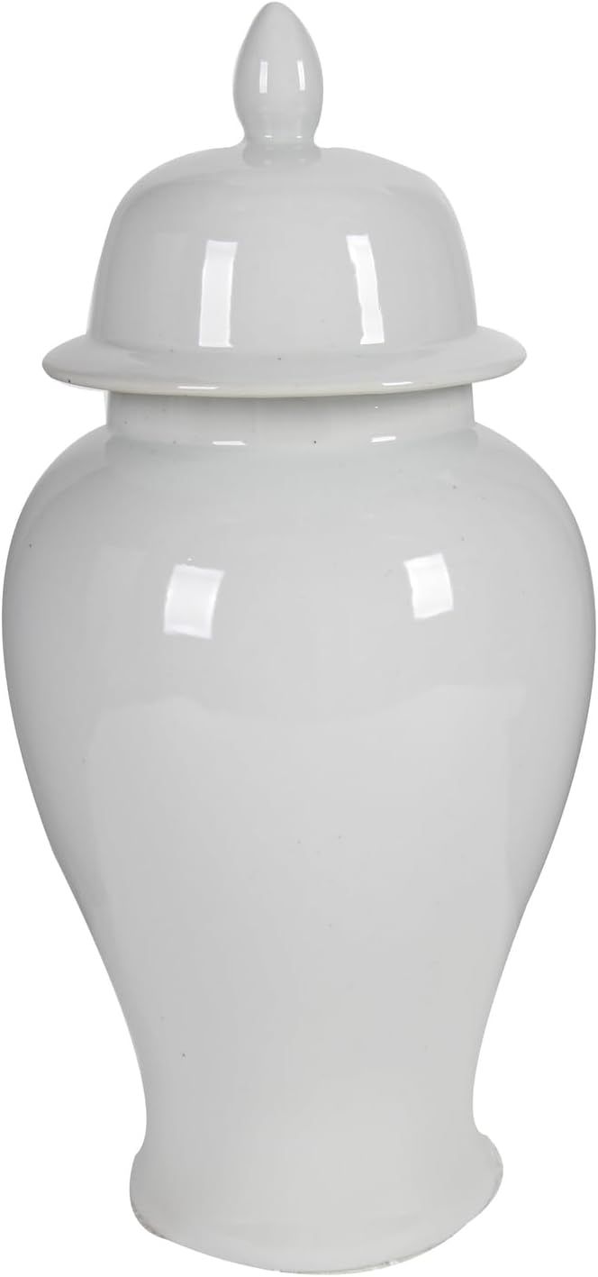 Victorian Vintage Decorative Porcelain Ginger Jar with Lidded Top, Large, White | Amazon (US)