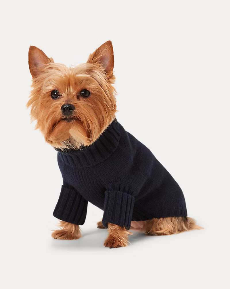 Polo Bear Wool-Cashmere Dog Jumper | Ralph Lauren (UK)