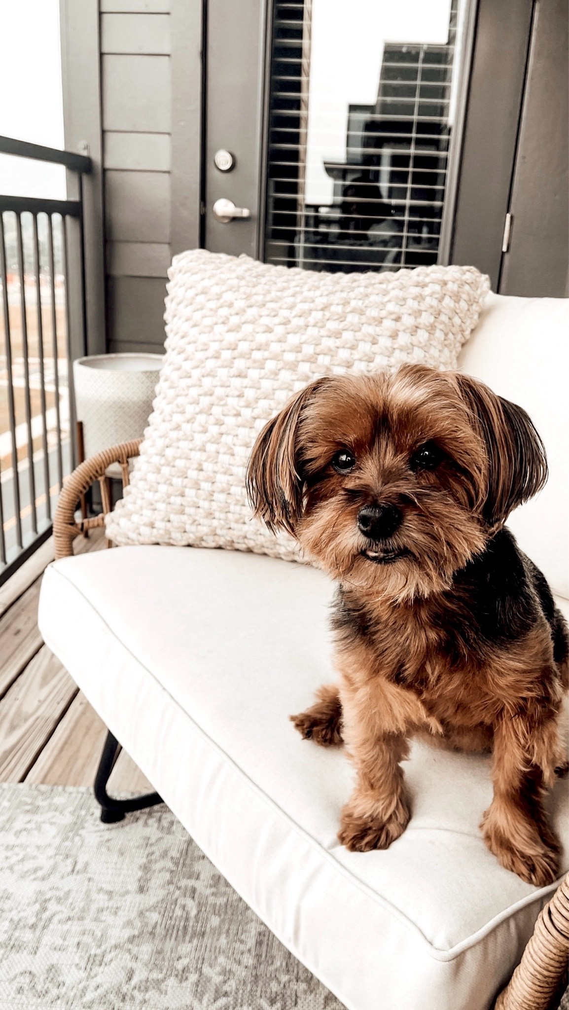Apartment Therapy: Summer Balconies

Scroll to shop

#LTKSeasonal #LTKHome #LTKBeauty
