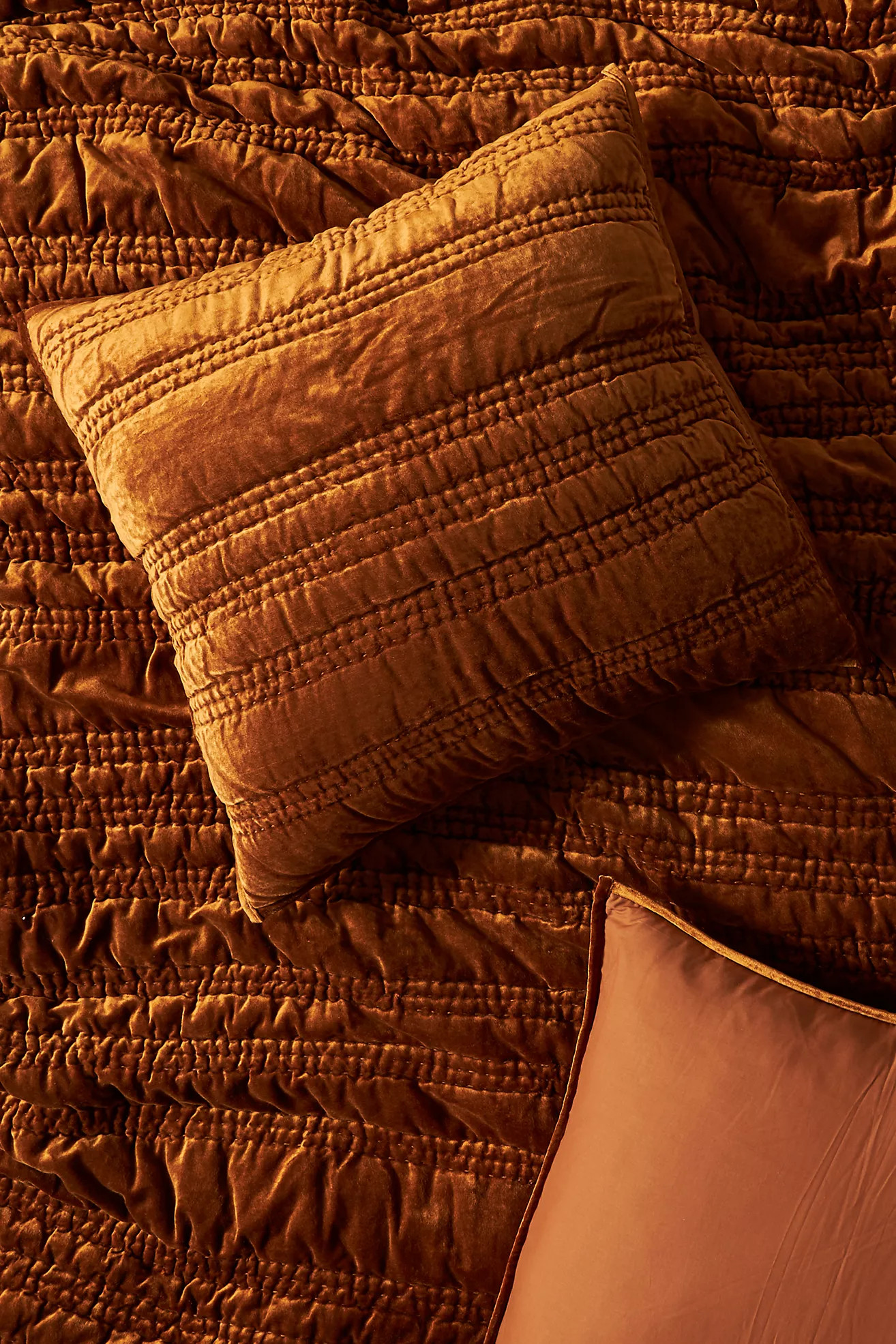 Lustered Velvet Alastair Euro Sham | Anthropologie (US)