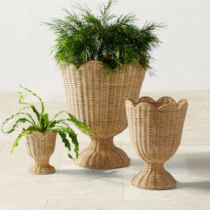 Woven Urn Planter Collection | Williams-Sonoma