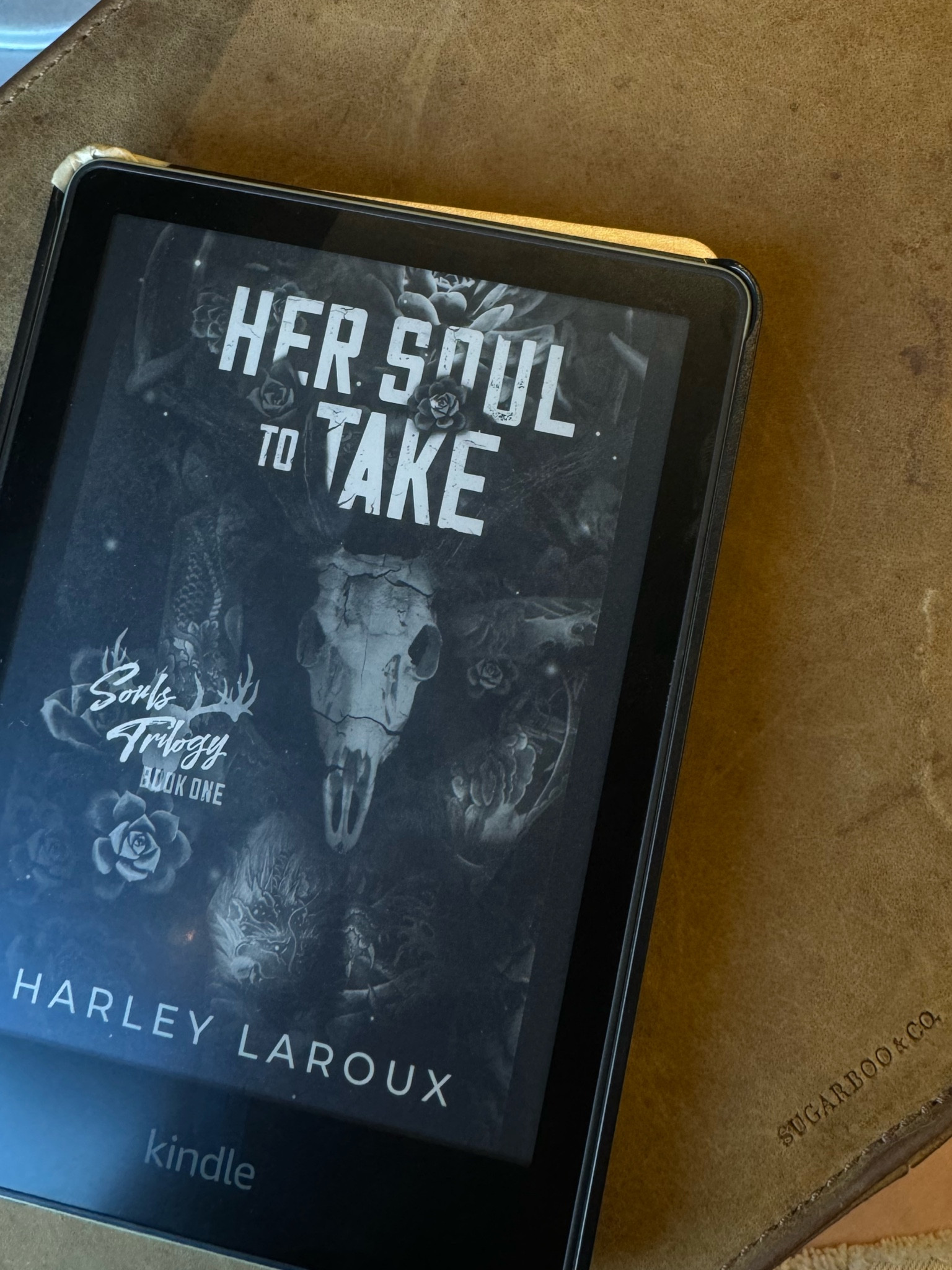 4.5 ⭐️ | 4.5 🌶️
This is what I want in a dark romance!! Edgy, spicy, and spooky but not traumatizing or so graphic that I feel like I'm going to vomit from the gore 🥰
General premise: a girl falls in love with a demon who's hot and aggressive but has babygirl energy for just her (we love a he-hates-everyone-but-you trope Imao) lots of cozy, creepy vibes in this one and LOTS of spice!
I was really iffy about this one at first (mainly because our male MC has blonde-ish hair ICK) but I really really enjoyed this!

Book club | reading recommendations 

#LTKSummerSales #LTKSaleAlert