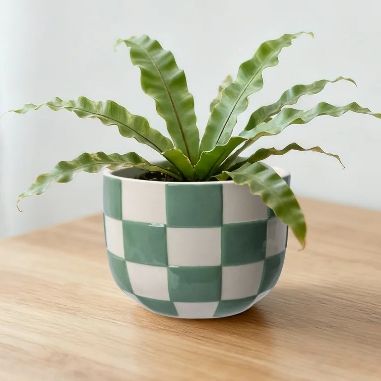 Mainstays Lennon 6" x 6" x 4.5" Round Green Checkered Ceramic Planter | Walmart (US)