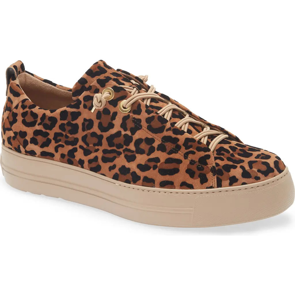 Paul Green Zena Leopard Print Platform Sneaker in Leopard Sisal Velvet at Nordstrom Rack, Size 8Us/ 5.5Uk | Nordstrom Rack