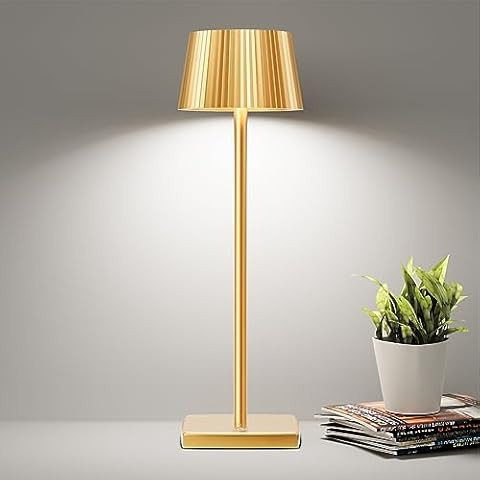 amhshkou Rechargeable led Cordless Table Lamps,Aluminum, dimmable, Suitable for Indoor and Outdoo... | Amazon (US)