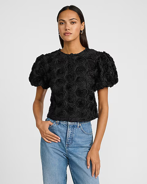 Rosette Crew Neck Puff Sleeve Top | Express