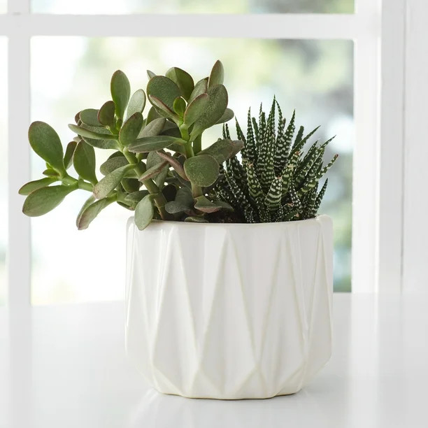 Better Homes & Gardens Pottery 5" Devi Round Ceramic Planter, White | Walmart (US)