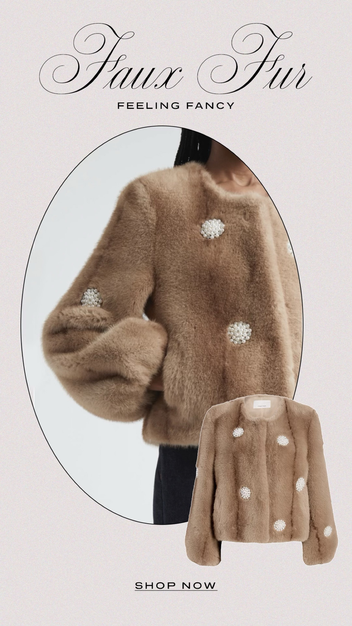 This faux fur jacket by Cinq a Sept is so chic. 