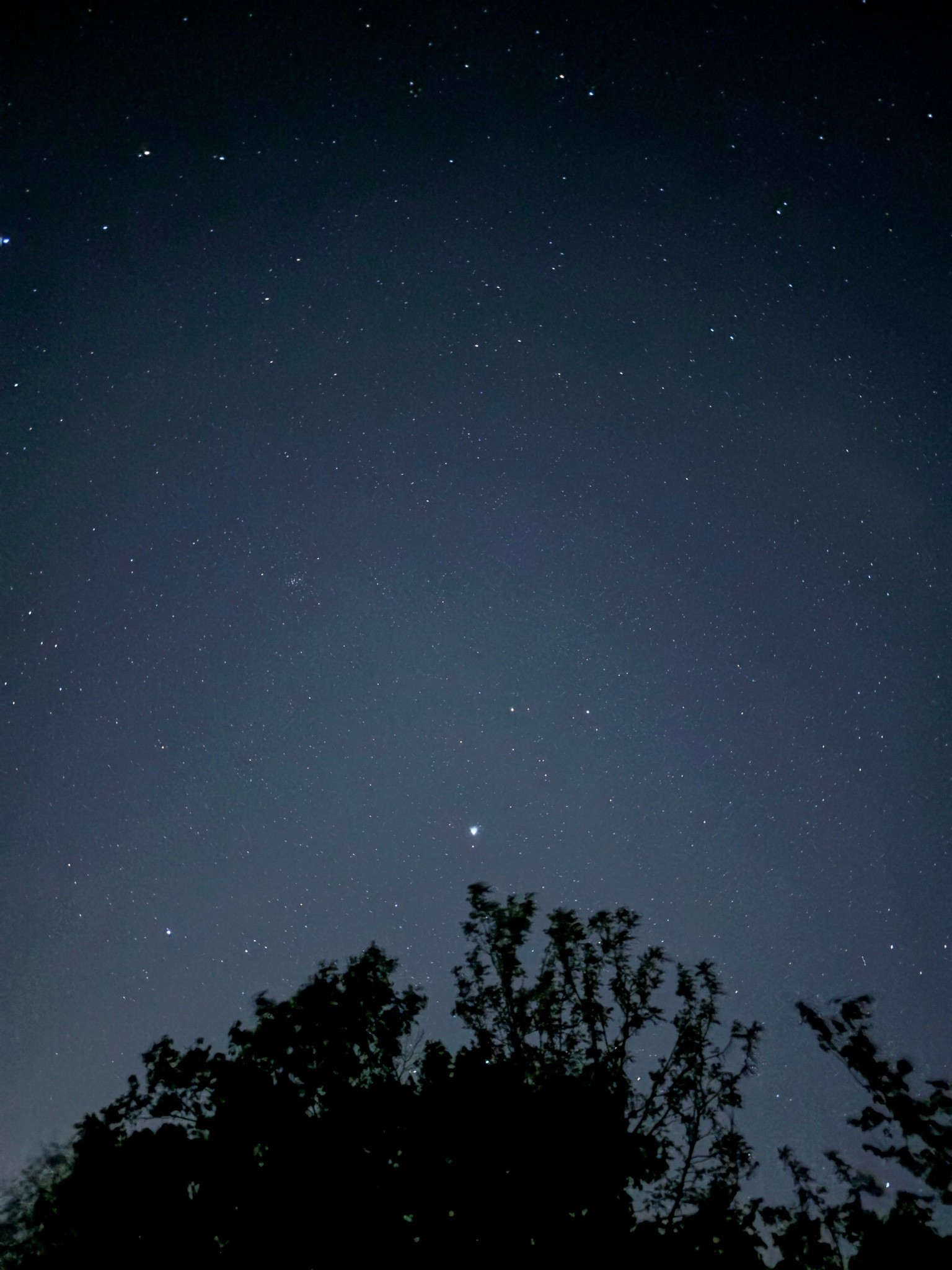 If the stars were made to worship so will I 🌌✨ linking my fave Mother’s Day Bible study find from @thedailygraceco

#LTKMothersDay #LTKmomlife #LTKdayinmylife