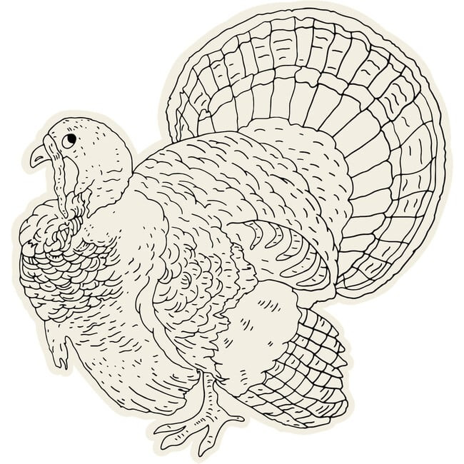 Turkey Color Placemat | Maisonette