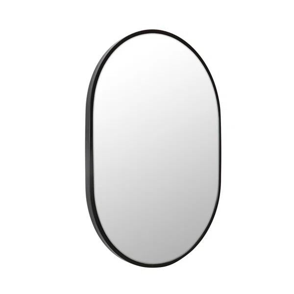 Pill Shape Modern & Contemporary Vanity Mirror | Wayfair Professional