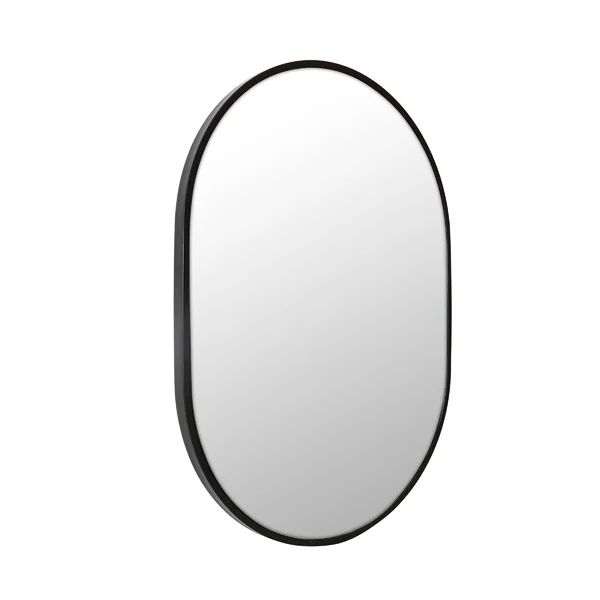 Pill Shape Modern & Contemporary Vanity Mirror | Wayfair Professional