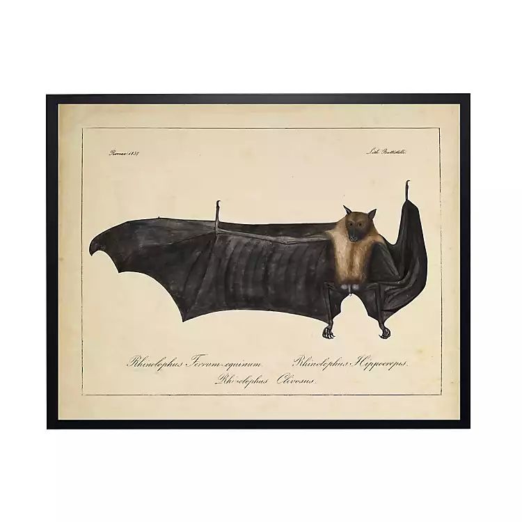 Vintage Black Bat Halloween Wall Plaque | Kirkland's Home