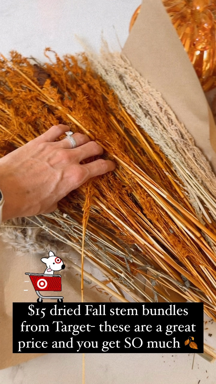 Target Fall stems- dried bundles! Such a steal for $15 🍂

#LTKHome #LTKSaleAlert