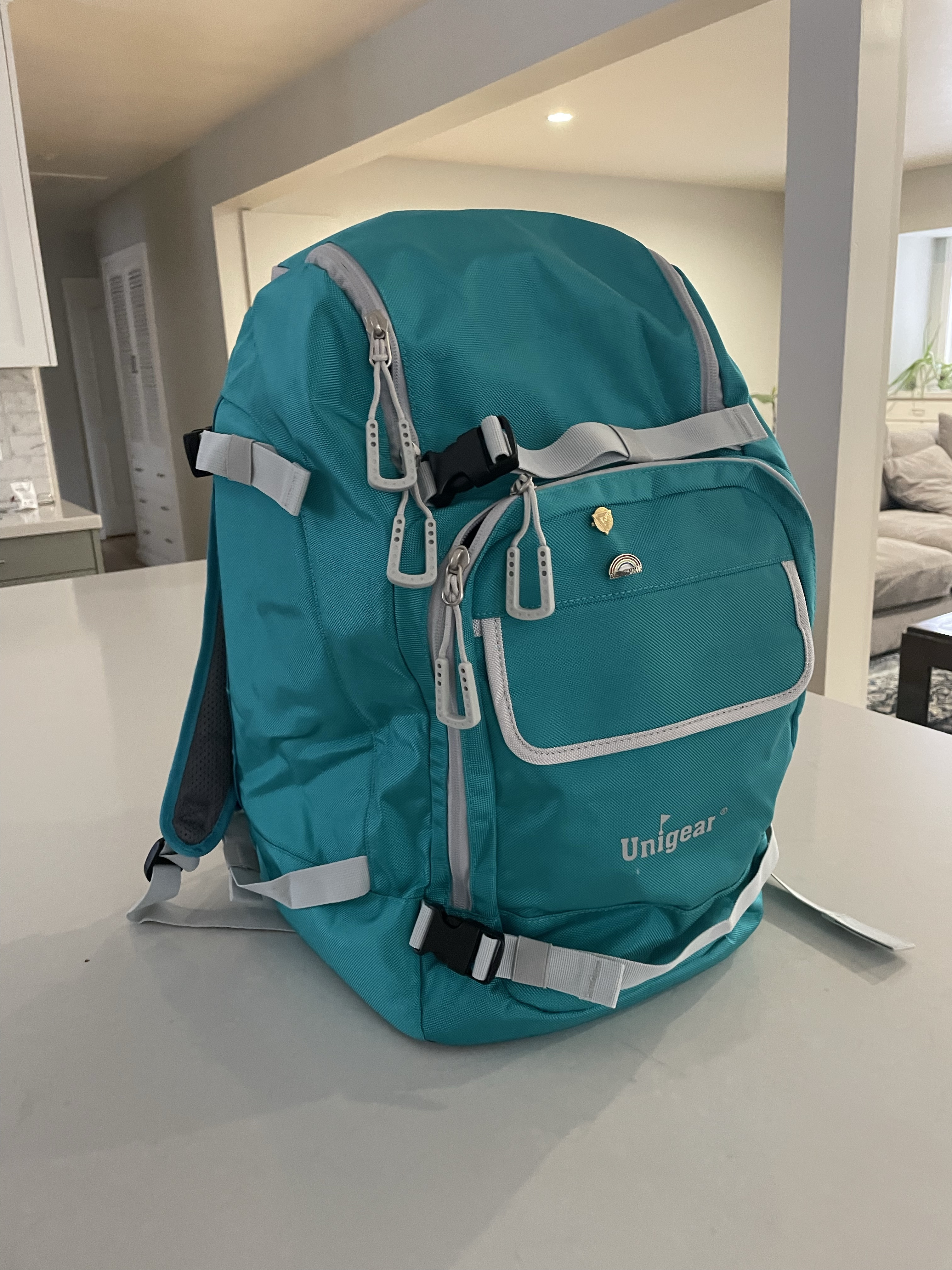 Must have ski bag!

#LTKSeasonal #LTKActive #LTKGiftGuide