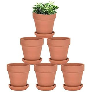 Amazon.com: Kosrtuny 3 Inches Terracotta Clay Pots Pack of 18 pcs- Pottery Fleshy Flower Planter wit | Amazon (US)