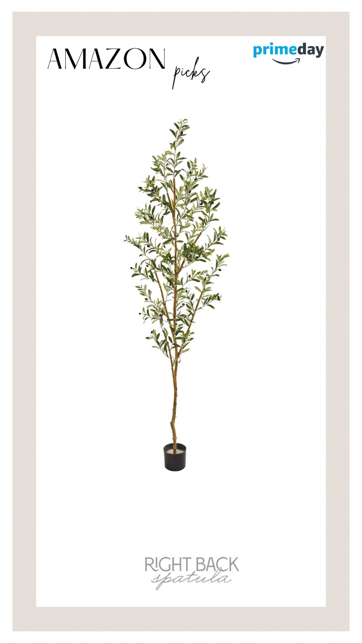 Prime Day deal - Faux olive tree! 

#LTKsalealert #LTKxPrimeDay #LTKFind