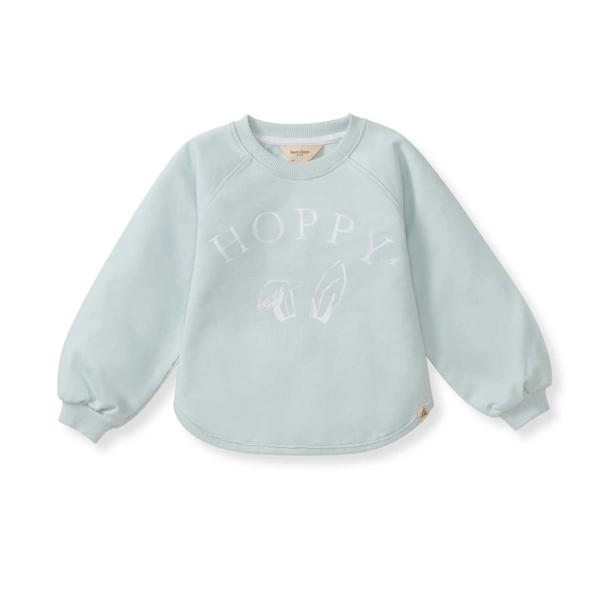 Boys Blue Hoppy Bunny Organic Cotton Easter Sweatshirt | Burts Bees Baby
