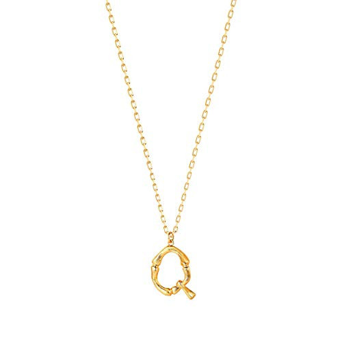 Bamboo Initial Necklace 18K Gold Plated Stainless Steel Small Initial Necklace Personalized Letter Necklace Monogram Name Necklace for Women (Q) | Amazon (US)