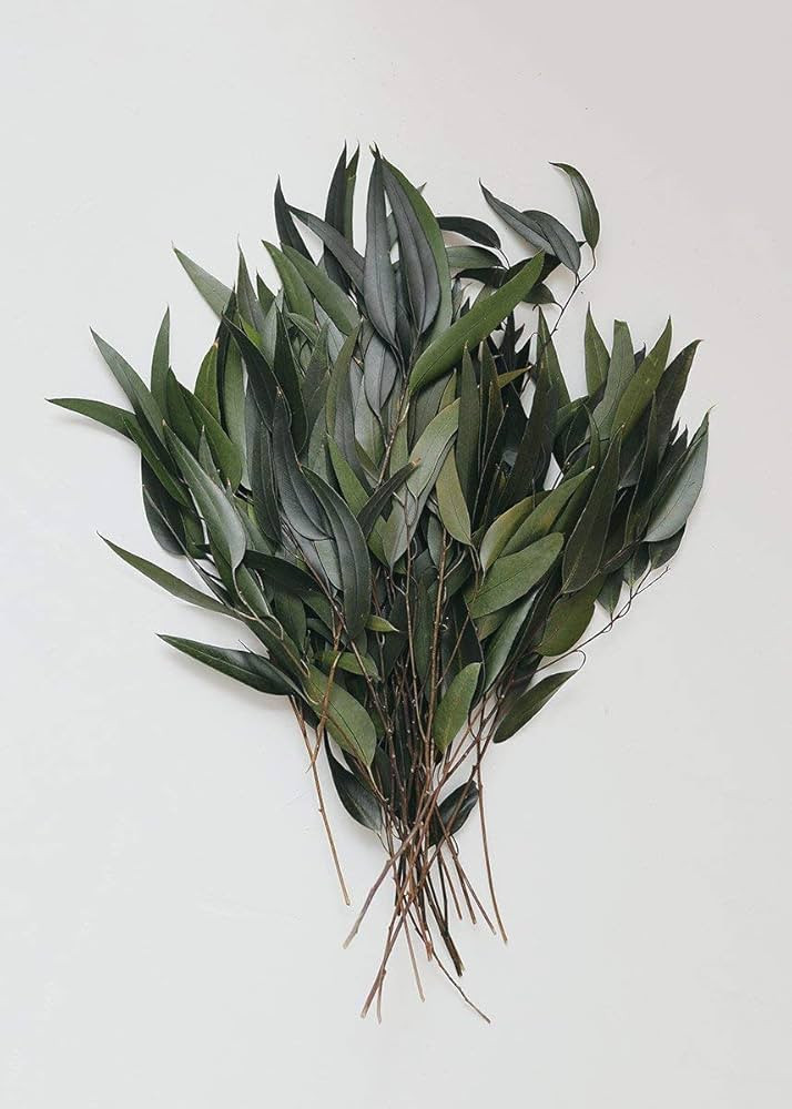 Vickerman 18" Green Weeping Willow Eucalyptus Foliage, 5 oz Bundle, Preserved | Amazon (US)