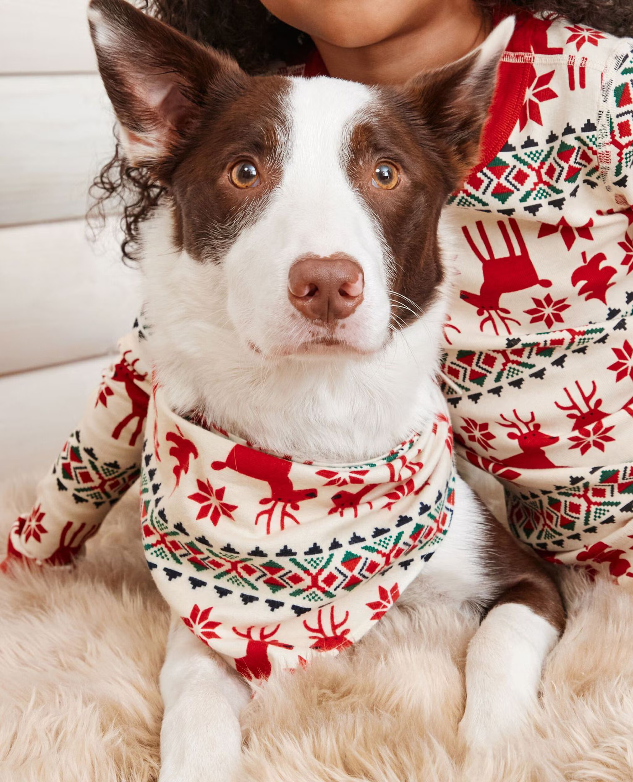 Flannel Dog Bandana | Hanna Andersson