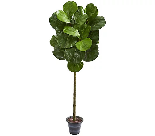 4' Fiddle Leaf Tree With Planter by Nearly Natural | QVC