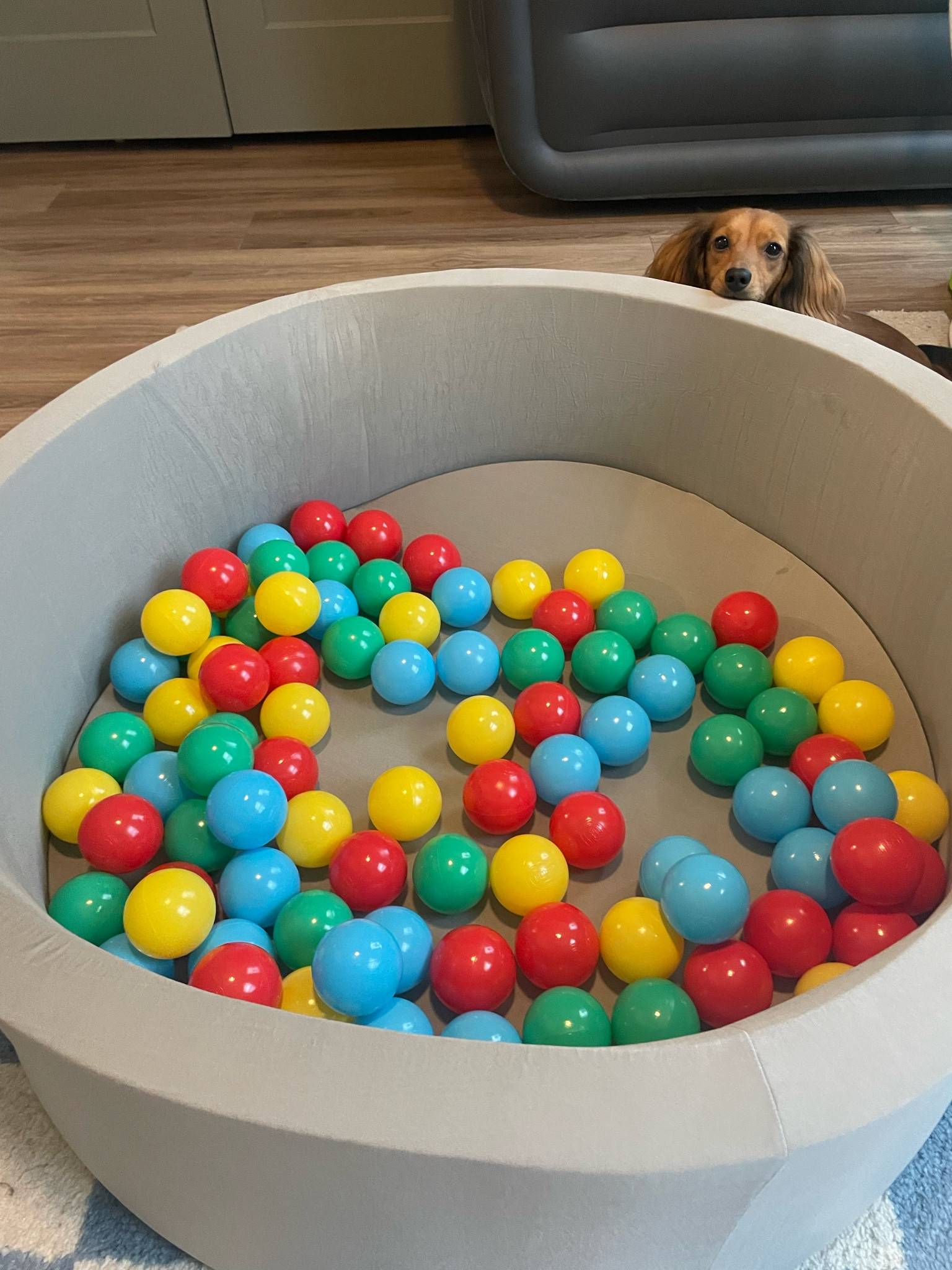 Ball pit setup for almost 1 year old

#LTKKids #LTKHome #LTKSeasonal