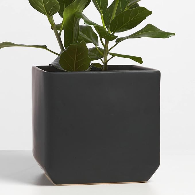PEACH & PEBBLE 9 Inch Black Ceramic Plant Pot. Square Planter for House Plants and Indoor Plants ... | Amazon (US)