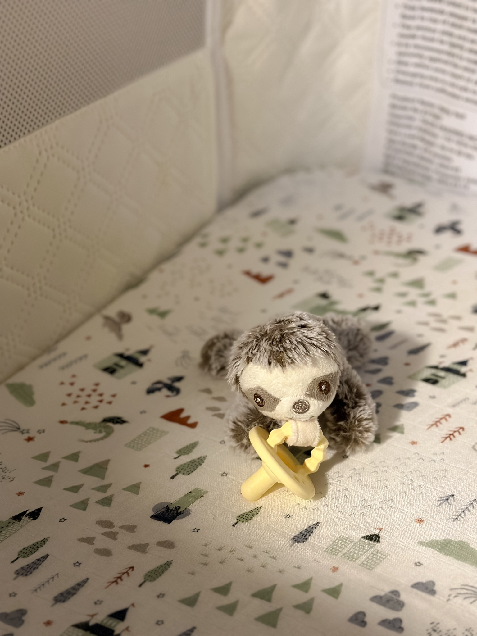 We love these little pacifier buddies! They’re great for exposing your baby to new textures and help keep the pacifier in their mouth while they’re building up their muscles 

Baby, Amazon, Baby Accessories, Sloth, Little Unicorn, Bassinet, Safe Sleep, nursery, newborn, 

#LTKHome #LTKKids #LTKBaby