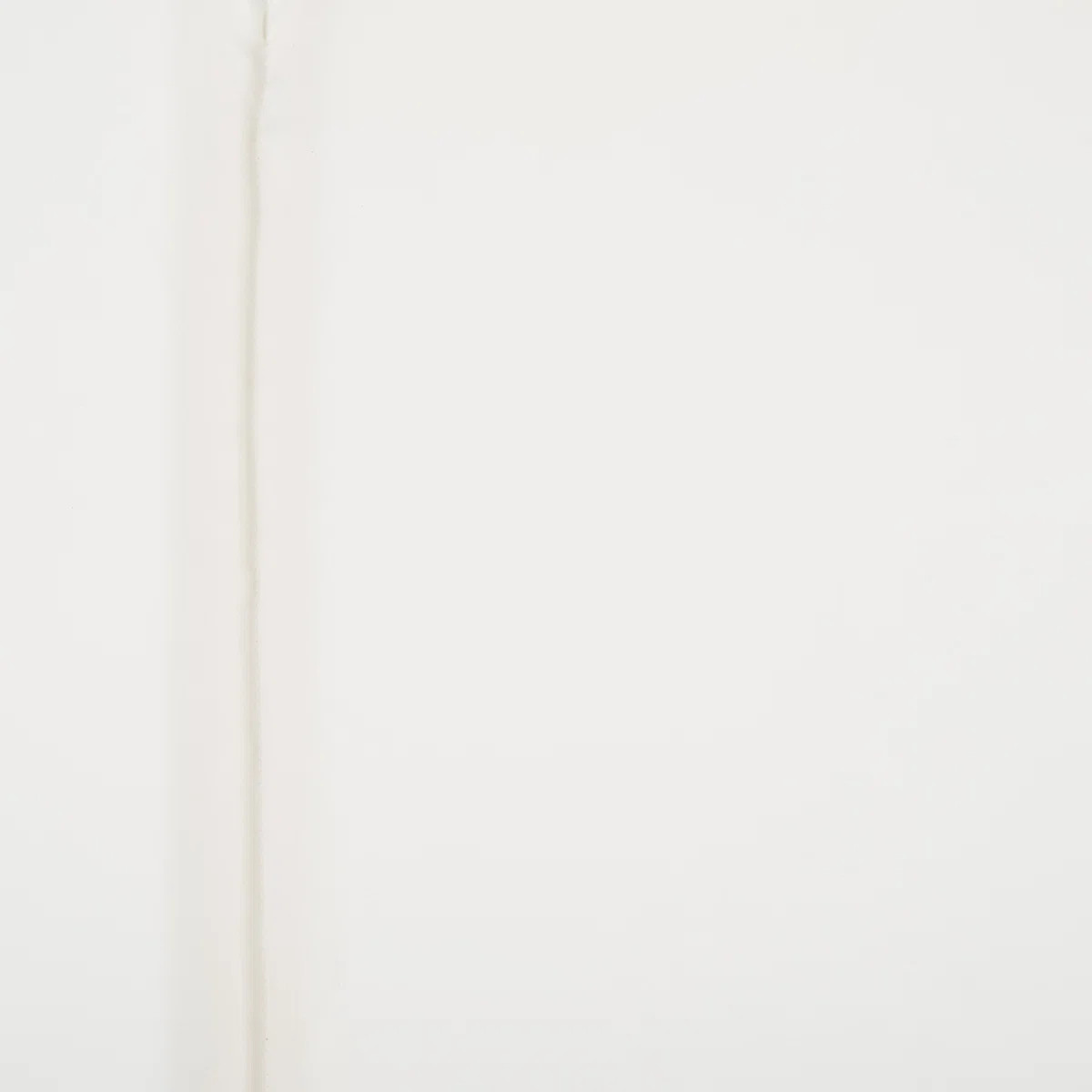 Outdoor Eucalyptus Wood Chaise Lounge , Cushion Included | Wayfair North America