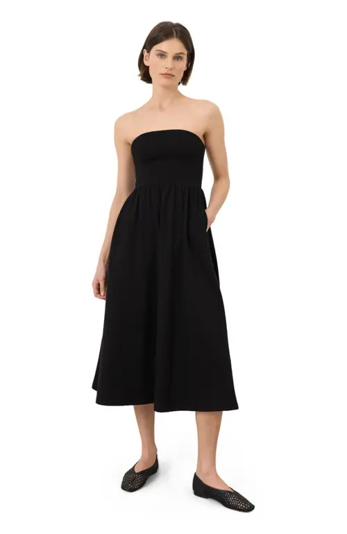 Pact Fit & Flare Strapless Dress Made With Organic Cotton in Black at Nordstrom, Size Large | Nordstrom