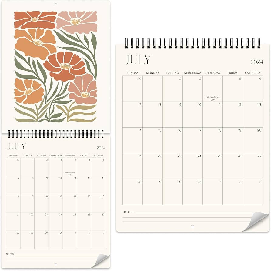 Aesthetic 2024-2025 Wall Calendar - Runs from June 2024 Until December 2025 - The Perfect Matisse... | Amazon (US)