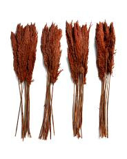 set of 4 39in pampas grass bundles | TJ Maxx