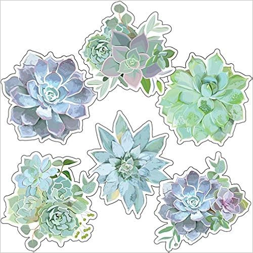 Carson Dellosa – Succulents Extra Large Colorful Cut-Outs, Classroom Décor, 12 Pieces | Amazon (US)
