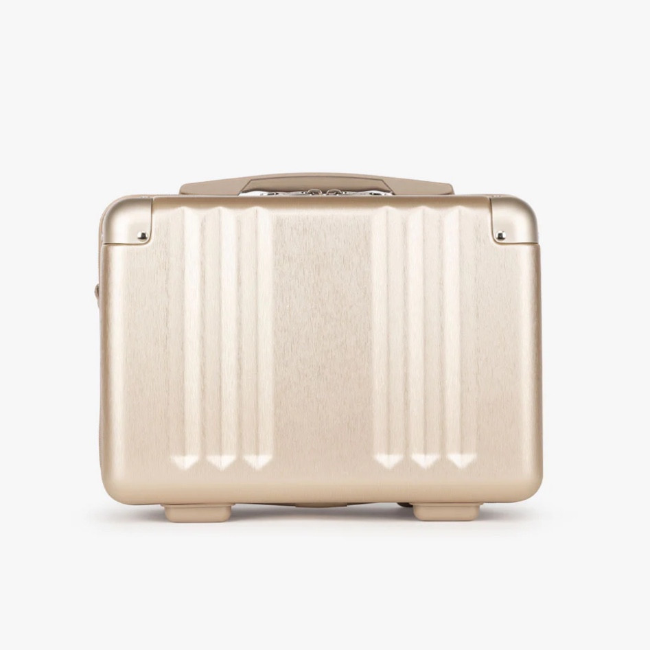 Calpak Ambeur vanity case! Obsessed with this for travel. 