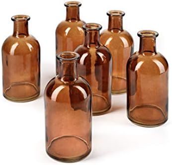 Serene Spaces Living Bud Vases, Apothecary Jars, Decorative Glass Bottles, Centerpiece for Wedding R | Amazon (US)