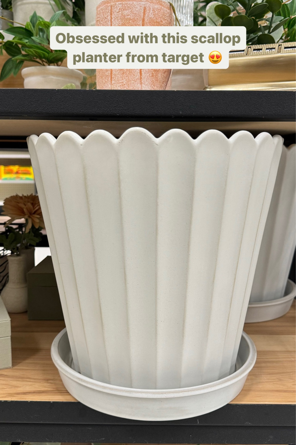 Such a cute scallop planter! Comes in 3 different sizes 

#LTKSeasonal #LTKfindsunder50