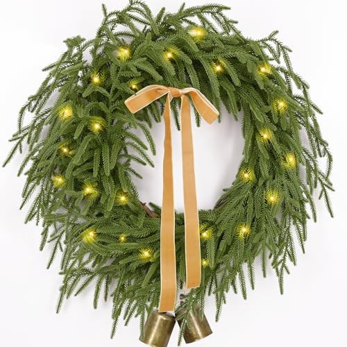 Christmas Wreath -24 Inch Real Touch Norfolk Pine Wreath for Front Door, Christmas Wreath with Li... | Amazon (US)