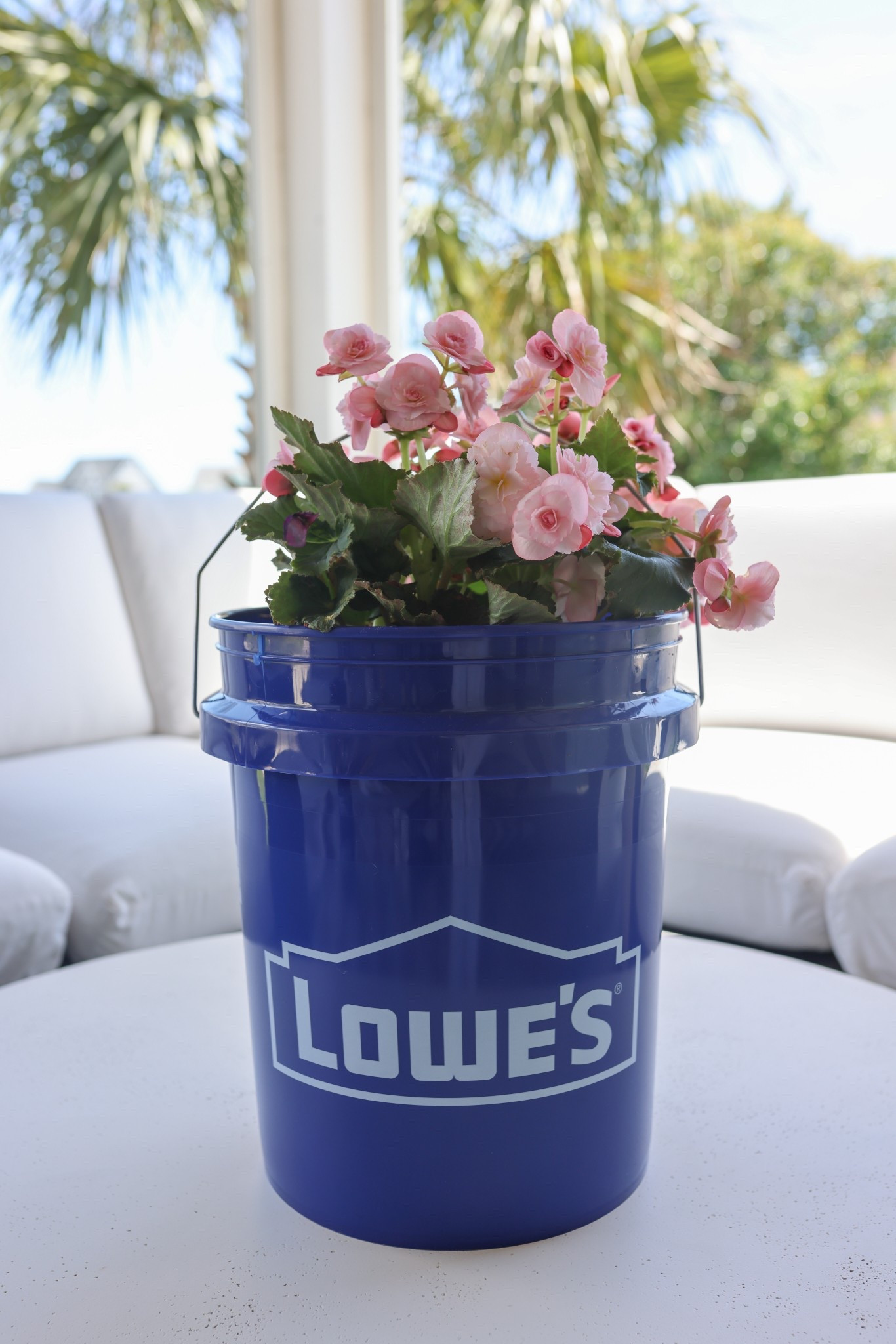 If you’re thinking about doing an outdoor refresh, now is the perfect time to grab the essentials from Lowe’s during Lowe’s SpringFest 

#ad @lowes #lowespartner 

#LTKSaleAlert #LTKHome