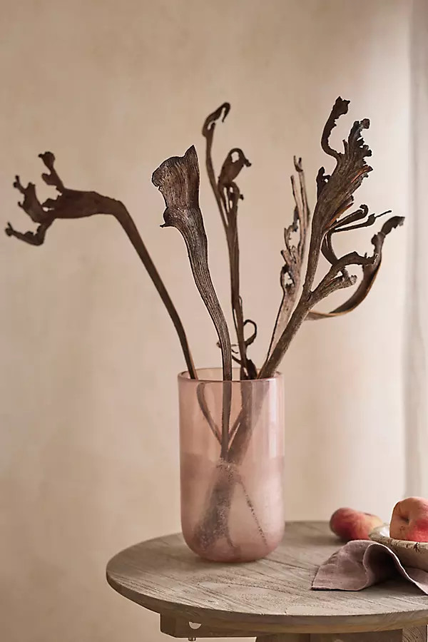 Dried Fantail Willow Bunch | Anthropologie (US)