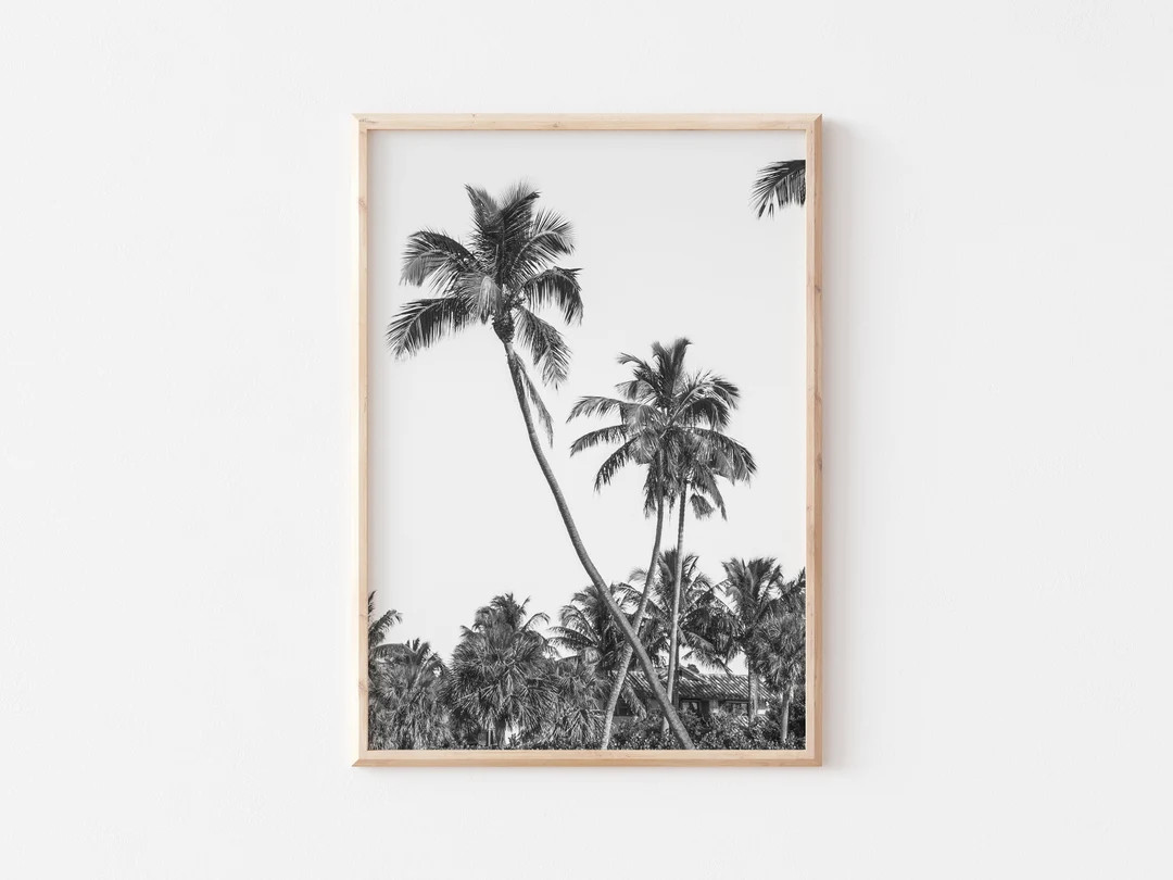 Black and White Palm Tree Photography Print, Naples Florida | Etsy (US)