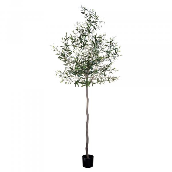 Olive Tree, Spring | Becki Owens Living