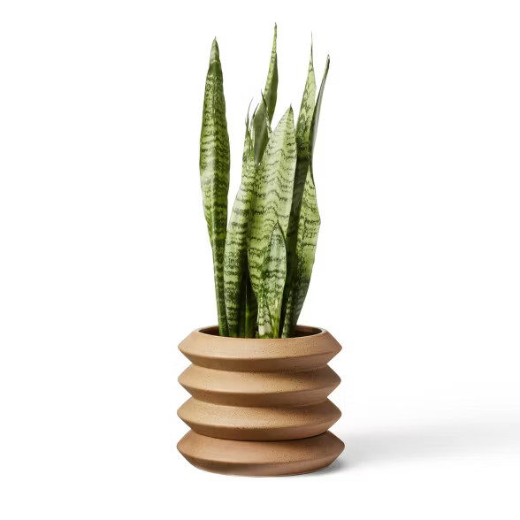 Coiled Stoneware Planter Natural - Hilton Carter for Target | Target
